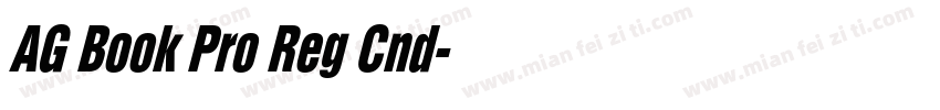 AG Book Pro Reg Cnd字体转换